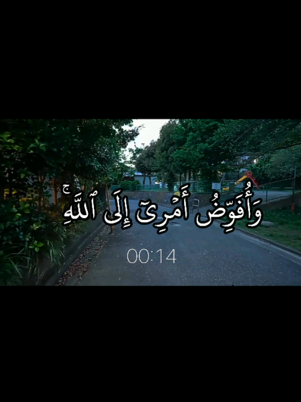 ﴿ وَأُفَوِّضُ أَمۡرِيٓ إِلَى ٱللَّهِۚ إِنَّ ٱللَّهَ بَصِيرُۢ بِٱلۡعِبَادِ ❤️‍🩹 ﴾ _________________________________ __________________________ القارىٔ || سلمان العتيبي سورة || غافر  __________________________ #قرأن #quran #quran_alkarim  #القران_الكريم_راحه_نفسية😍🕋  #سورة_غافر #سلمان_العتيبي  #استغفرالله_العظيم_واتوب_اليه  #صدقه_جاريه_لي_ولكم  #صدقه_جاريه_لجميع_اموات_المسلمين  #اكسبلورexplore  #creatorsearchinsights 