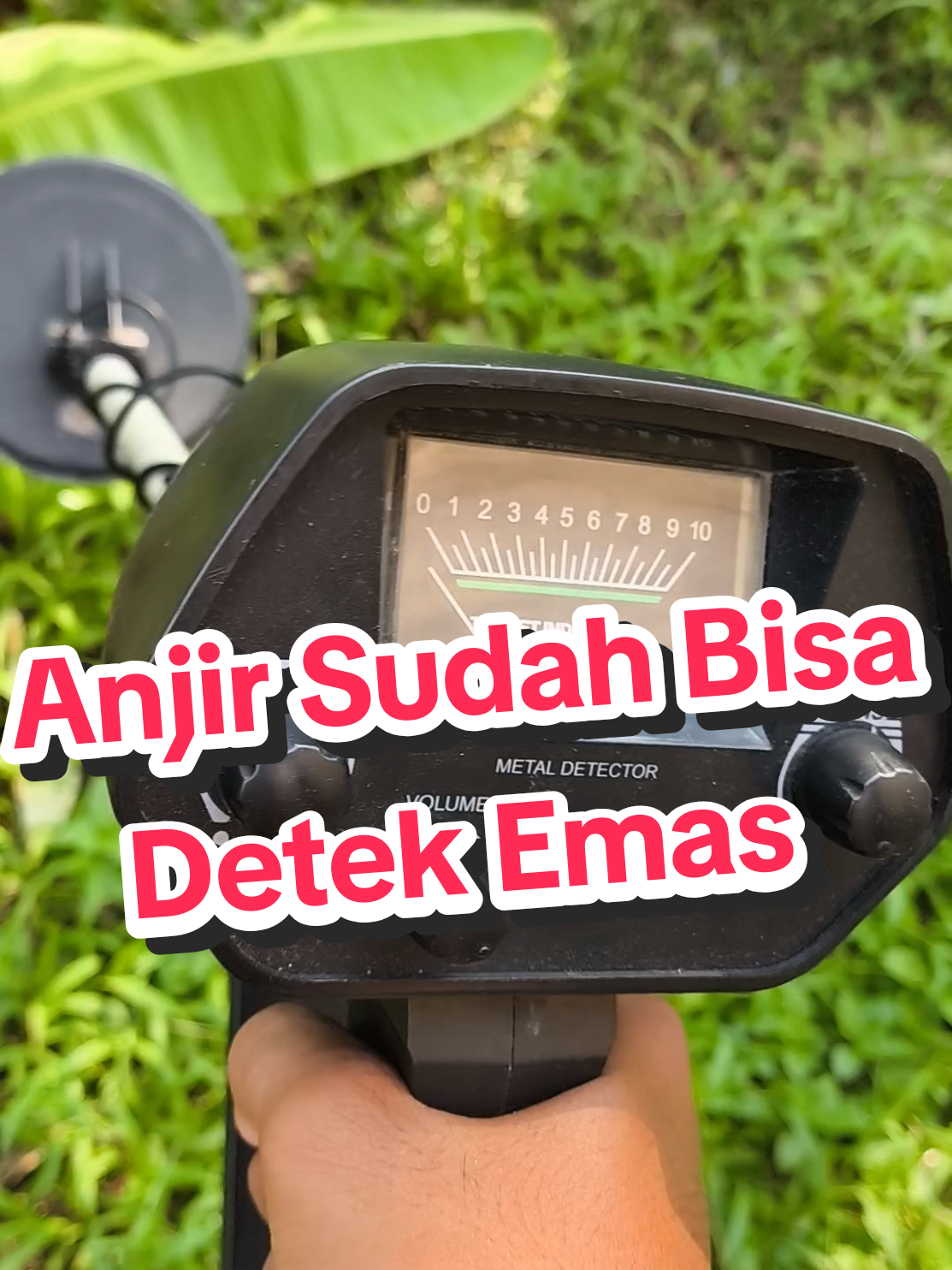 #metaldetector #metaldetecting #md4030 #underground 