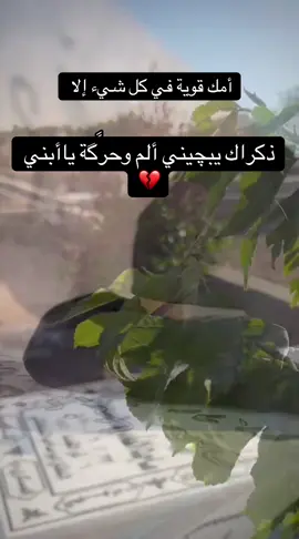 #فراق_شخص_تشتاق_له_كل_دقيقه💔🚶🏻‍♀️ #فراق_الابن_صعب_ماينحمل #مقبره_وادي_السلام💔😞 #النجف_الأشرف #حسابي_الرسمي_على_التيك_توك #layanali🦋 