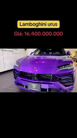 Lamboghini urus #sieuxe #supercar #viraltiktok #fyp #remix #xuhuongtiktok #lamborghini 