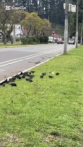 Y llega el momento en que la vida es lenta y la amas🤍