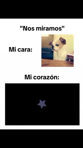 Jaja el perrito tan 😑#iwannabeyours #amor #contenido #virallll #viralll #fyp #wannabeyours 