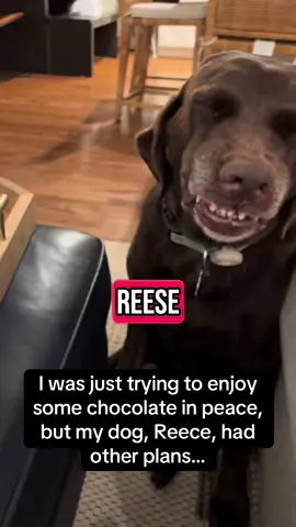Look at Reese popping out those teefies 🤣🤣 #RoadTo18M #Pubity  (guiltyreese via ViralHog)