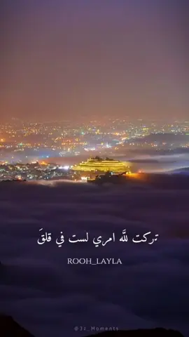 #الضباب_يعانق_جبال_أبها #capcut 