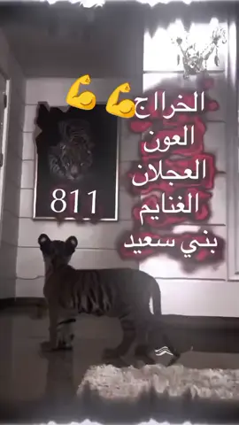 #explore #جرابلس#سوريا #تركية #الاردن #العراق #لبنان #الفرات #اسطنيول #منبج #الخراج #811 #بني #سعيد 