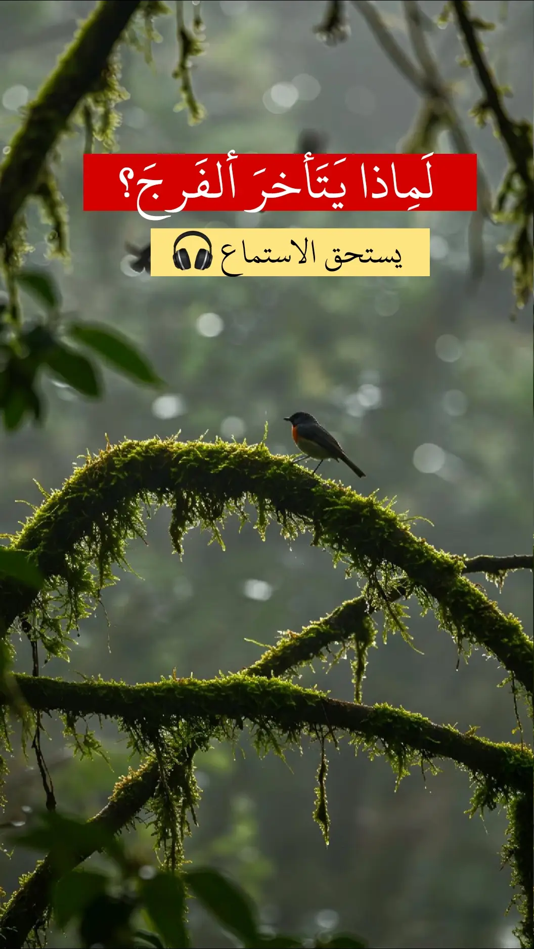 #مقاطع_دينية #قران_كريم #fyp #foryoupage #تك_توك #منشوراتي_للعقول_الراقية_فقط #fyp #رقية_التعطيل #رقية_التعطيل #لا_اله_الا_الله #الشيخ_بدر_المشاري #