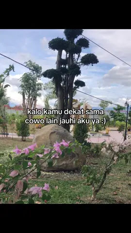 #galaubrutal 