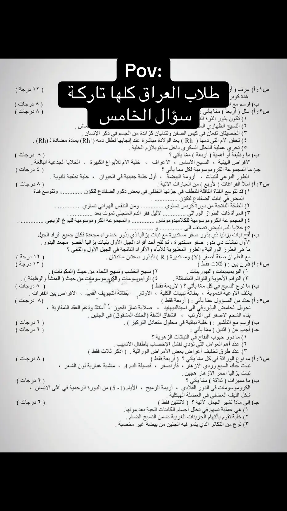 #اكسبلور #العراق #اكسبلورexplore #الشعب_الصيني_ماله_حل😂😂 #سادسيون #وزاري #احياء 