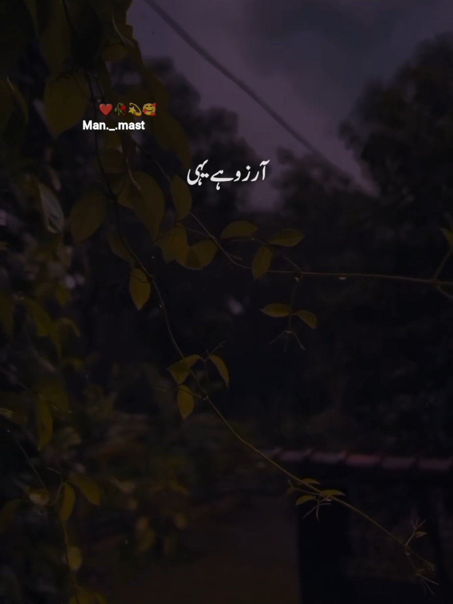 #💞❣️ #man_mast #songstatus #forypupage #foryou #fyp #💞♥️ 