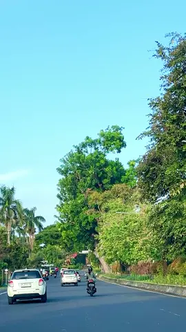 Selamat Sore denpasar, Ada yg sering lewat jalan ini Gaaees😍 #denpasar #denpasarnow #denpasarbali #denpasarviral #shonjibalitour #jalanjalan #bali 
