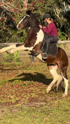 Sunday sessions #horse #girls #boy #fyp #wild #fun #run #1 #cute #fy