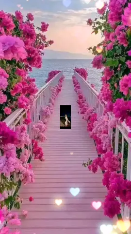#Explore #keşfet #reels #viral 