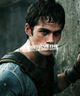 whatever it takes // cc : mine (link in bio) // text : @| 𝐀𝐒𝐆𝐕 𝐎𝐕𝐄𝐑𝐋𝐀𝐘𝐒 | // #tmr #themazerunner #edit #dylanobrien #newt #fypシ゚ 