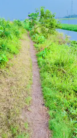 দর,, দর করলে দরি না ,,আবার দরলে ছাড়ি না.. ☠️⚔️ #tiktok #fyp #copylink #viral #video #support #tiktokvideo #comment #like #tikok 