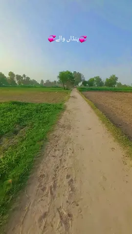 #پنڈاں_والے #foryou #foryoupage #viralvideo #unfrezzmyaccount #2025 #bwp #جھنگ_والے_حاضری_لگواؤ۔۔۔۔۔ @MAHI BHALWAL DA 