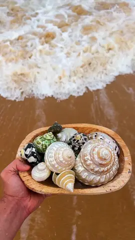 Arte que se ajoelha pra oferecer. Cada peça que faço pra lemanja carrega reza. Entre mar, conchas e troncos, é a espiritualidade que guia minha mão e minha câmera. É sobre criar e ser criado. Guiar e ser guiado. Não é sobre trabalho, é sobre viver. . . #fyp #foryoupage #umbanda #candomblé  #mar #iemanjá 