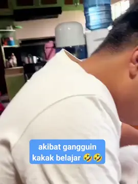akibat gangguin kakak belajar  #catlover 