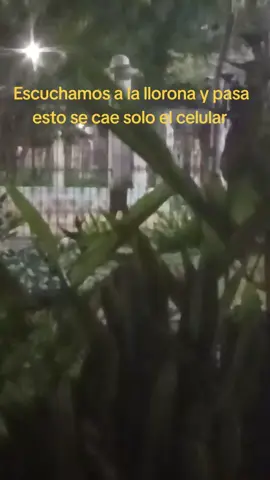 #tiktoklive #livehighlights #tiktoklive #video #vi #videoviral #sobrenatural #llorona @Ezequiel 