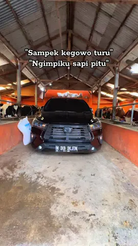 Sholawat disek sapi7+reborn🤲🏻#fyppppppppppppppppppppppp #greenfarm #sapisuper 