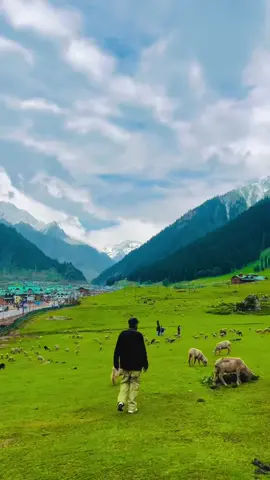 Sukoon 🏔️ #foryourpage #foryou #fyp #kashmir #kashmirvalley #viraltiktok #viralvideo #nature #sukoon #views #viral #mountains #pahad 