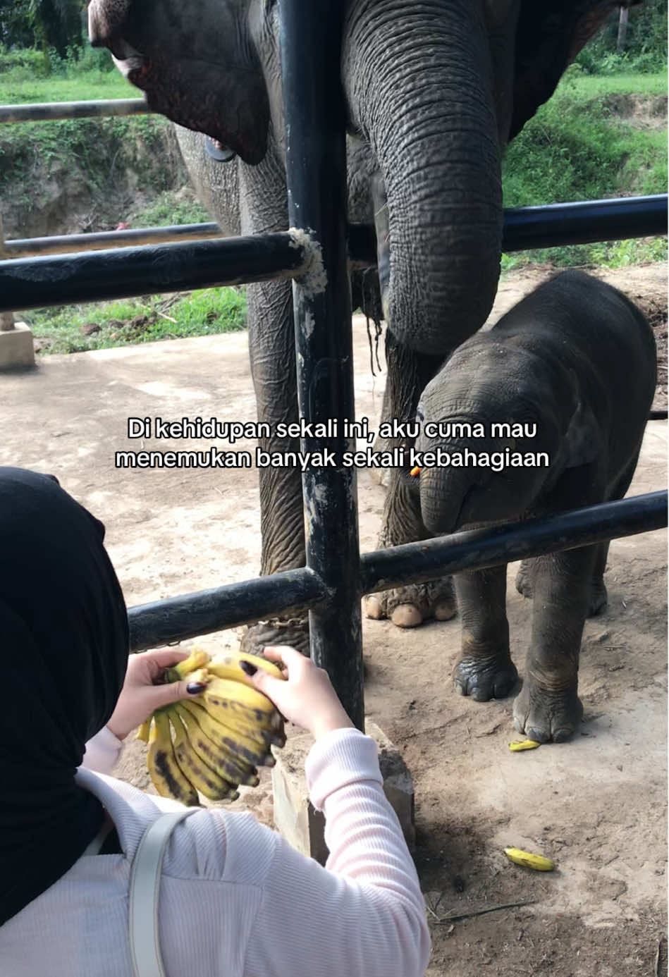 Aku mau ucapin makasih buat semua orang yg selalu buat aku ngerasa berarti di kehidupan yg sendiri ini, mungkin aku ga akan bisa sebahagia ini di tahun 2025. Kalau tetap pertahankan sakit aku dulu. 