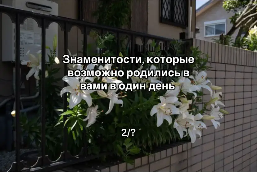 Знаменитости, которые возможно родились с вами в один день часть 2 😈 #fyp #fypシ 