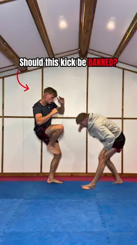 Should this kick be BANNED?
