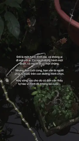 …#tamtrang #story 