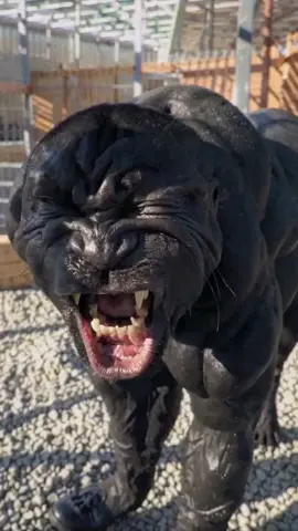 Half animal. Half… what? #cursed #disturbing #bodyhorror #horror #werid #aiartcommunity