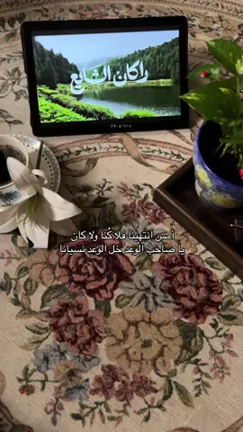 #راكان_الشايع #قصيدة #فلوقات #اقتباسات #كتب_انصح_بها #بوكتوك #ليليز #ورد #الاجيال #عبارات #نخل #الف_شمس_ساطعة #ثلاثية_غرناطة #glory 