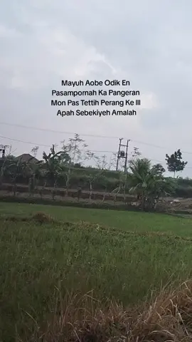 Positif Rempak #Sampang #bangkalan #Sumenep #pamekasan #Orangmadura #pamekasan #Tembakau #Petani #fyp 