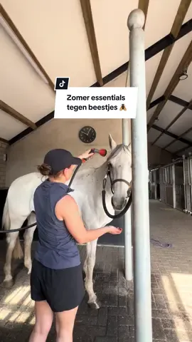 Musthaves tegen beestjes 🦟 (‼️winactie onderaan het bericht) In de zomer liggen al die vervelende beestjes weer op de loer, dus ik heb standaard een paar dingen in de kast om Nap zo goed mogelijk te helpen ✅ De Itch & Oats shampoobar, Zomerrustspray en Dermacontrol lotion van @Vitalstyle (SEM5 voor altijd 5% extra korting) zijn hier echt niet meer weg te denken 💛 Door zijn eczeem was ik Nap regelmatig en die shampoo bars zijn zó fijn, schuimt lekker en werkt top. De lotion gebruik ik nu op zijn staart tegen wat schuurplekjes. (Ik heb ook een video gemaakt met mijn zomereczeem essentials!)  Ook ben ik superblij met twee nieuwe producten van @Hypostore : de Befix Roll on en een nieuw eczeemdeken van Horseware! 🥹 Nap had in zijn andere weer een gat gesloopt.. dus deze kwam precies op tijd. Echt mijn favoriet en ik denk ook die van Nap 😛 ‼️Dan heb ik nog iets leuks voor jullie! Bij de Rambo Hoodies zit altijd een masker inbegrepen. Super handig, maar helaas past Nap deze nooit, en dat besefte ik me natuurlijk weer toen ik de verpakking opende 🤣 Nu dacht ik: laat ik hem gewoon aan jullie weggeven! Het enige wat je hoeft te doen is mij en @hypostoreofficial volgen én een “🪰” reageren. Eind van deze maand kies ik iemand uit die het masker wint ✅‼️