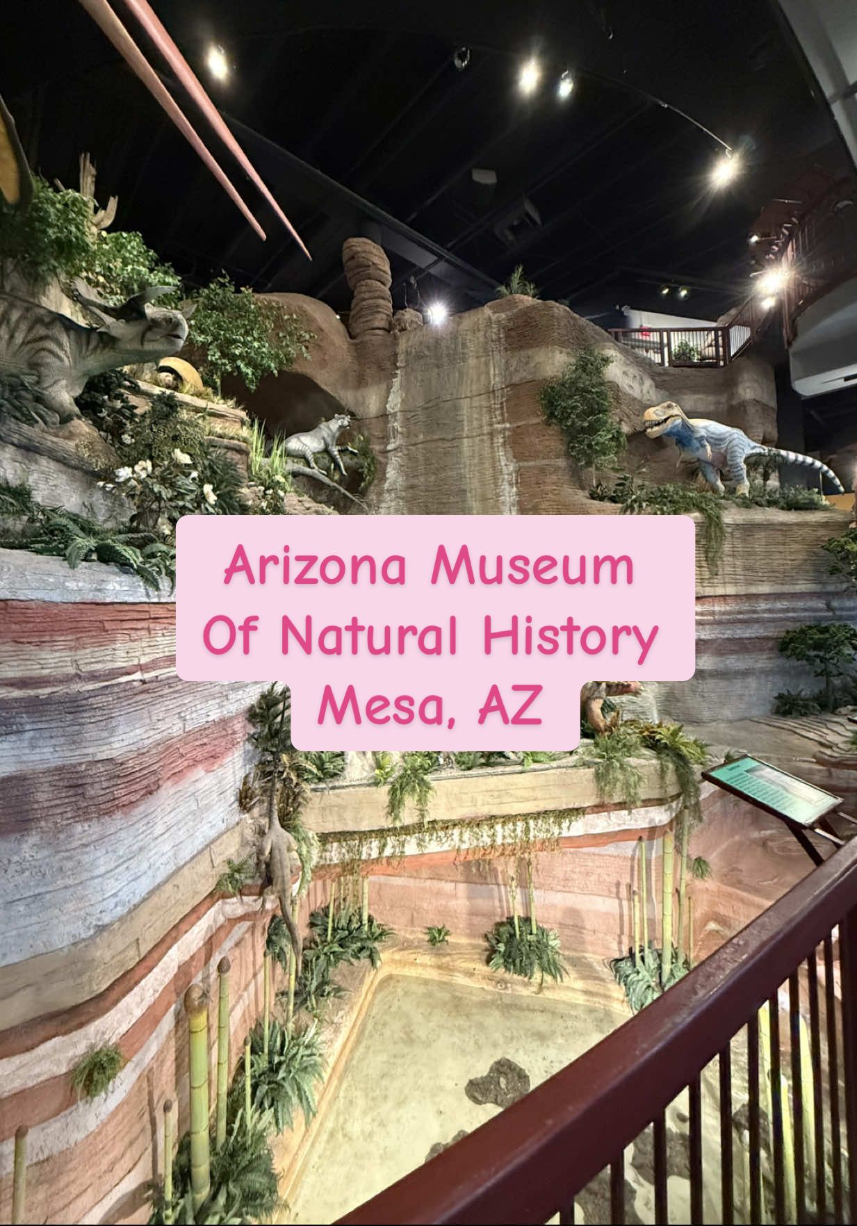 Arizona Museum Of Natural History in Mesa, AZ is the perfect family indoor adventure 🦖 #azmuseumofnaturalhistory #mesaaz #thingstodoaz #familyouting #naturalhistorymuseum #toddleractivities #toddlermom #kidsummeractivities 