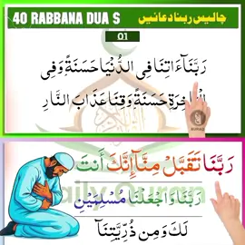 40 Rabbana Duas | Daily Quran 🌹  #dailyquran399 #dua #rabbanaduas #islamic_video #unfreezmyaccount #foryou #fyp 