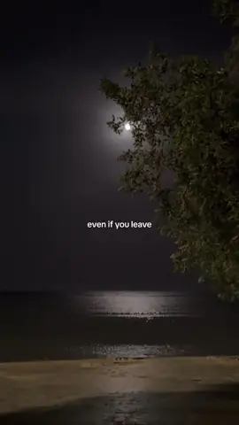 batmana ansak translation #sherine #batmanaansak #arab #arabsongs #arabsongstranslasion #translet #lovesongs 