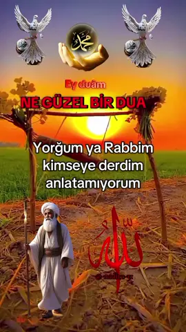 🤲🌼🤲#nadire31 