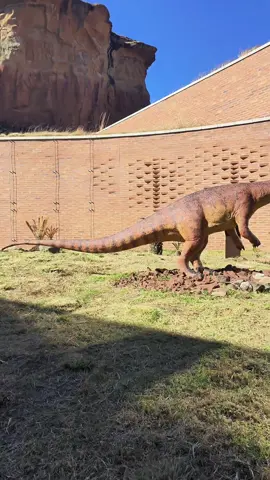 Kgodumodumo Dinosaur Interpretive Centre - Golden Gate Highlands National Park 