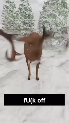 Deer shakes it’s antlers in winter 🤨🧐🤯