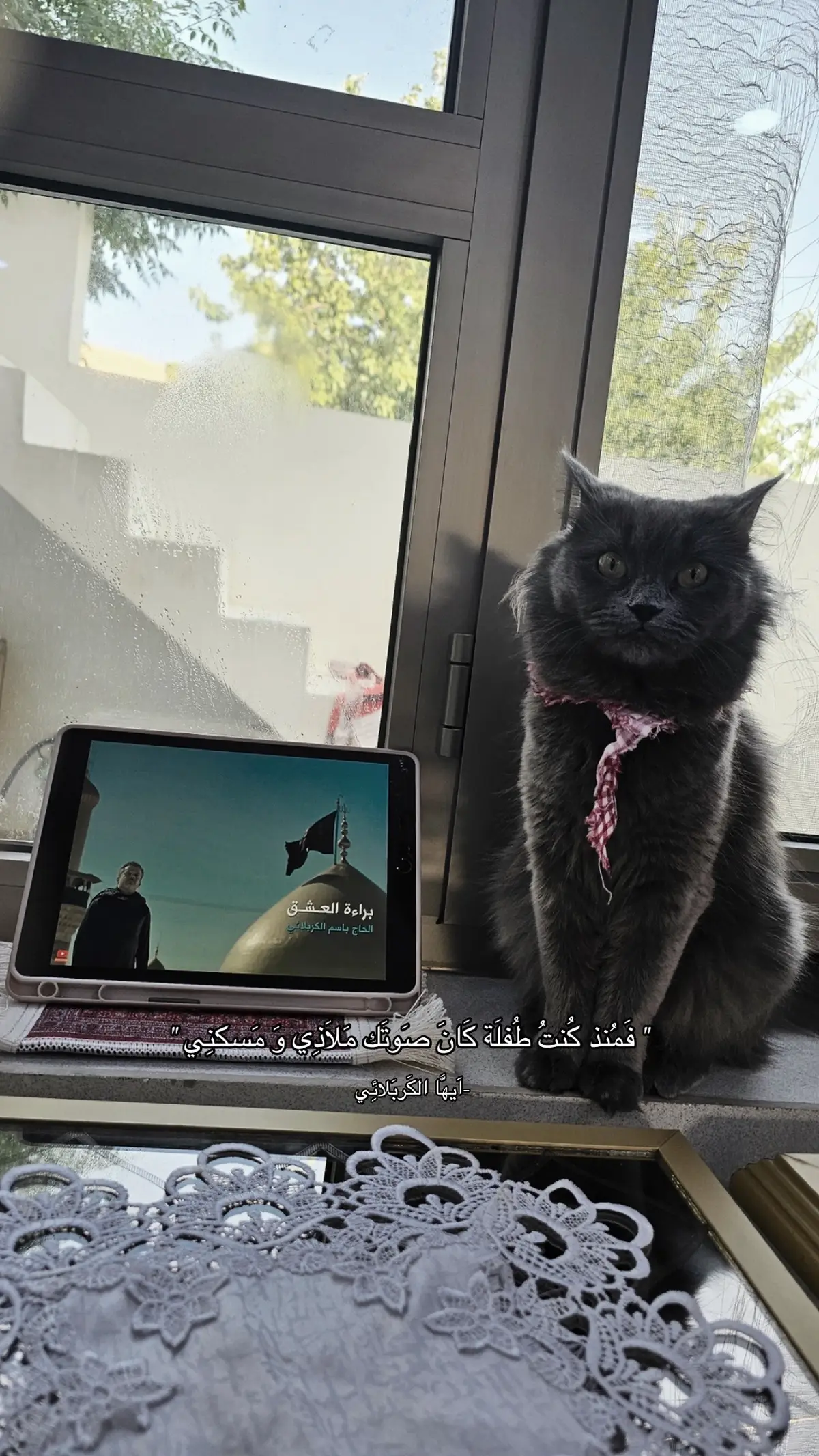 موشي منوره 🥹#امام_حسين_عليه_السلام #محرم #باسم_الكربلائي 