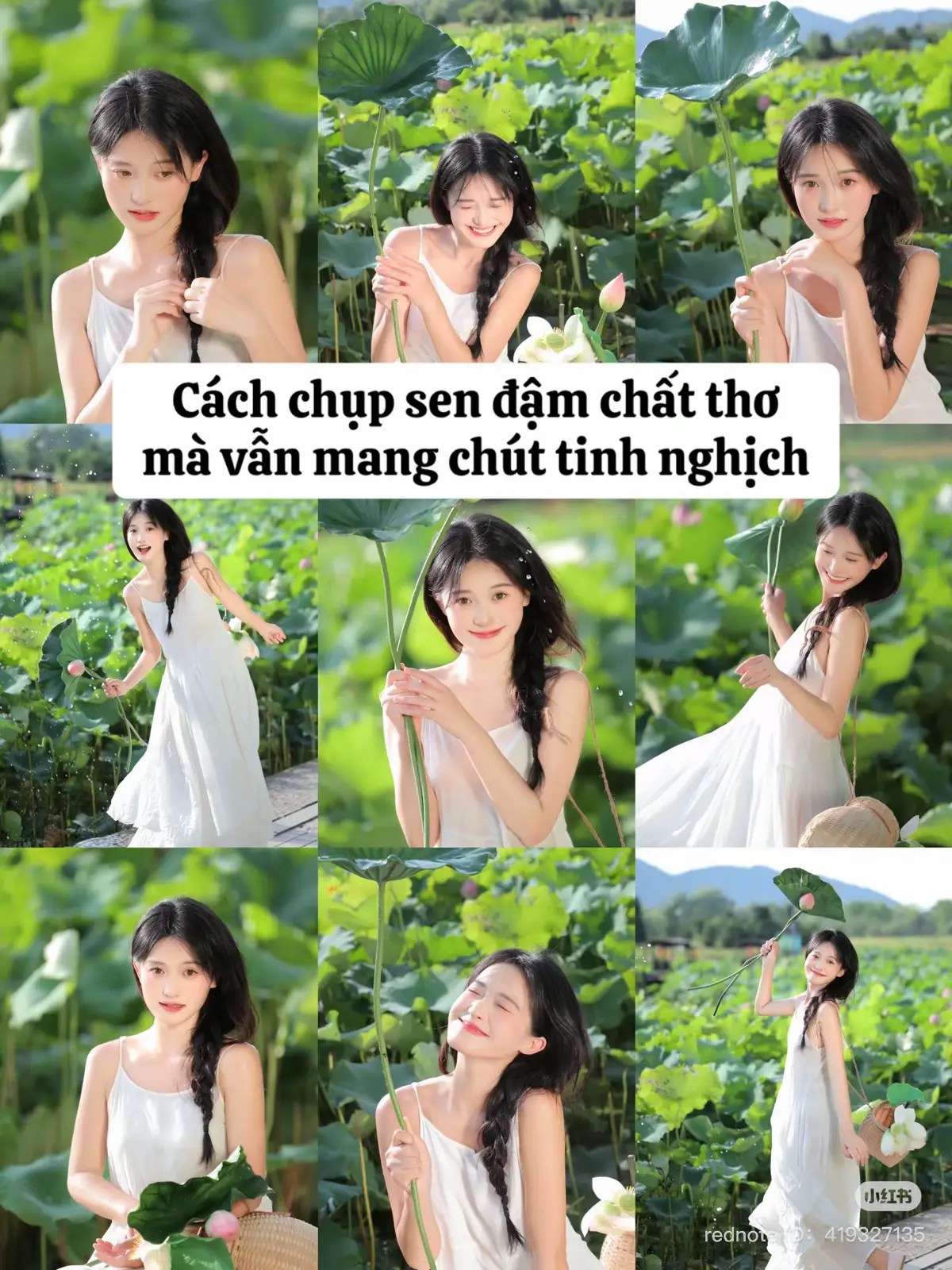 Mùa sen đến rồi, lên đồ đi chụp sen thôi các nàng #taodangchuphinh  #chupsen #dulich 