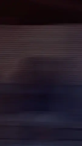 #CapCut 
