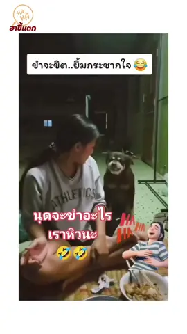 #คลิปตลกฮาๆ #ตลกฮาๆ #คลิปขําจนท้องแข็ง #ตลกไว้ก่อน555 #มีมตลกๆ #คลิปกวนๆฮาๆ #ฮาขี้เเตก #คนไทยเป็นคนตลก #ฮาๆขําๆ #รวมคลิปตลกในtiktok #เทรนด์วันนี้ #เทรนด์วันนี้tiktok 