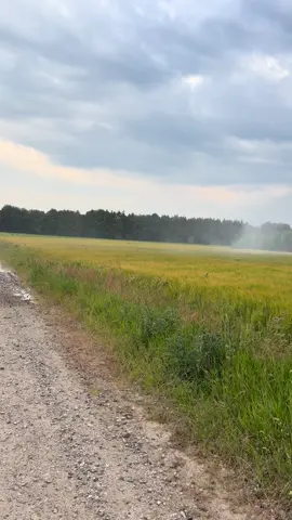 Free shower #danish #nature #fyp #141 