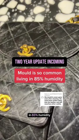 Replying to @user4198255471632  The mould never came back & I now have a dehumidifier cabinet where I keep all of my luxury goods.  #chanelbag #chanel @ChanelOfficial #chanelbackpack #mould #mouldybag #cleaning #humidity #luxurybag #vintagefashion 