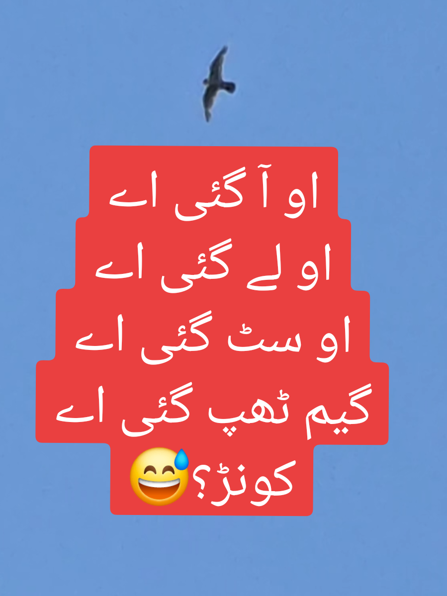 آج کا شوق🥰