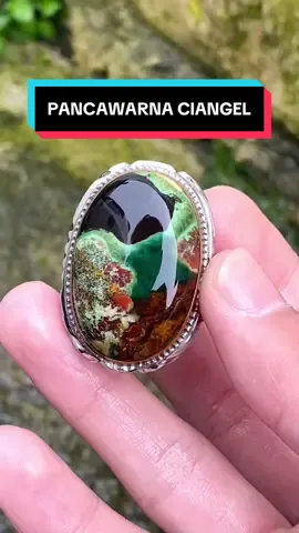 Ciangel multicollor🥰 #pancawarnagarut 