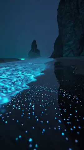 #bioluminescence #beachwaves #vibe #fypage #dreamscape #dreamcore 