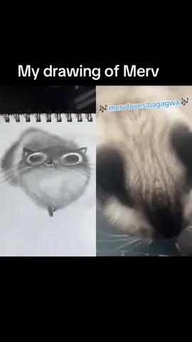 #duet with @Merv The Cat #bagagwa ALL HAIL BAGAGWA, COMMANT WHO I SHOULD DRAW NEXT!!! #merv #cat #cats #bagagwa #drawing #pencil #pencildrawing #art #artist #fyp 