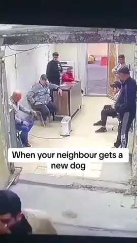 #onthisday come get your dog bro