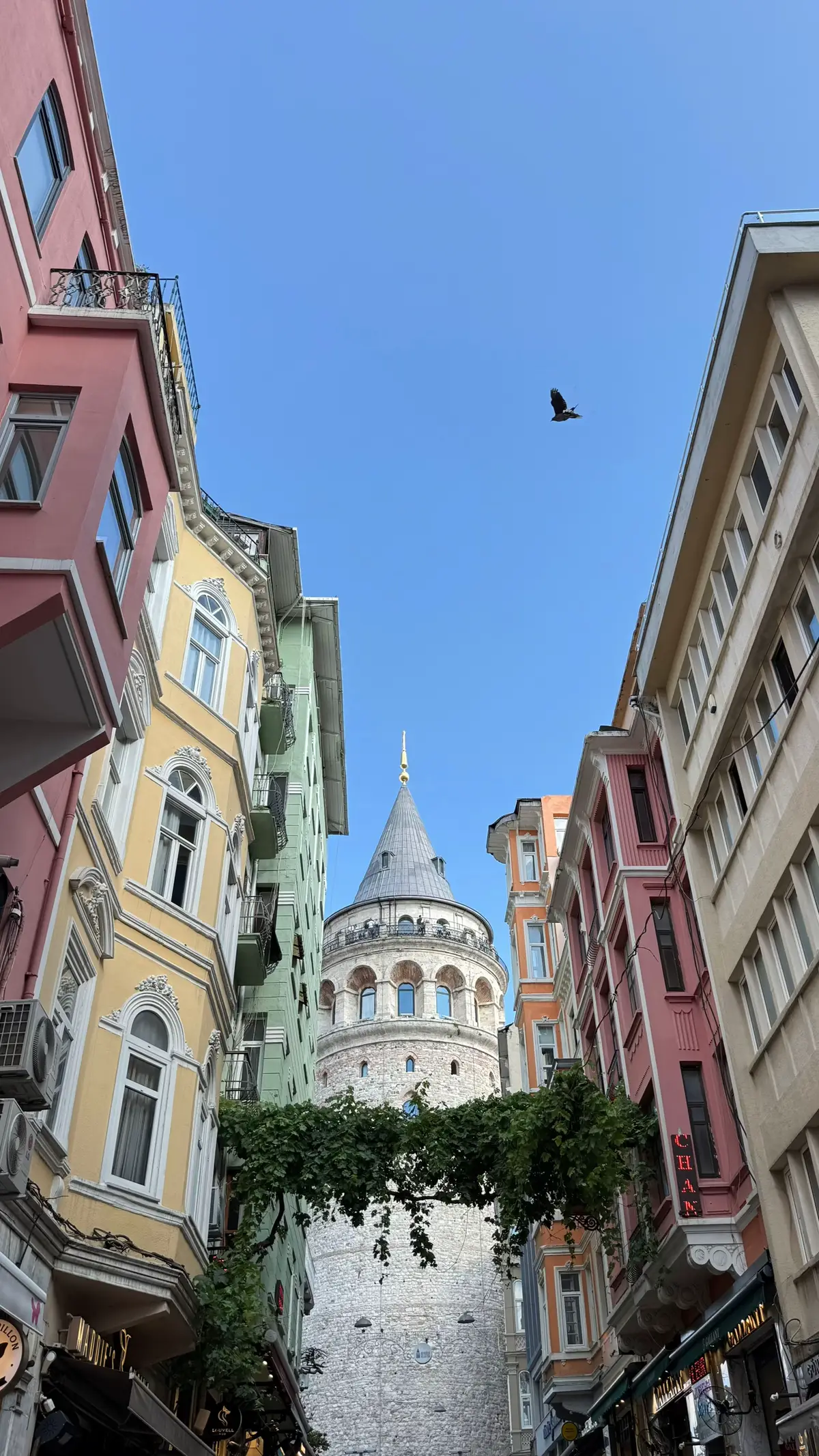 #explore #fyp #istanbul #turkey #اسطنبول #تركيا #سياحة #غلاطة_بورت #galata_tower 